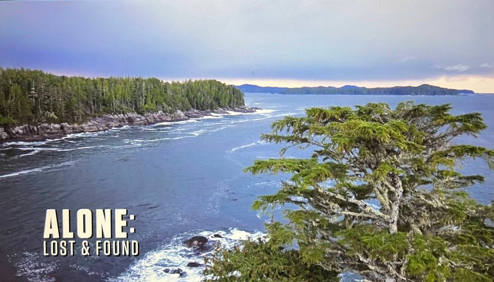 alone lost & found view from a drone from malei island