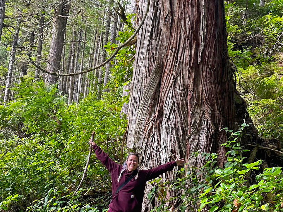 happy hiker holding out arms in front of a very large cedar tree