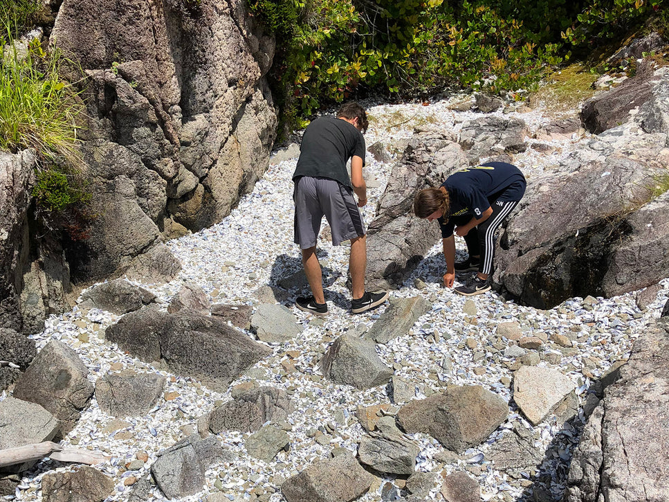two people hunting for the perfect shell on shell beach