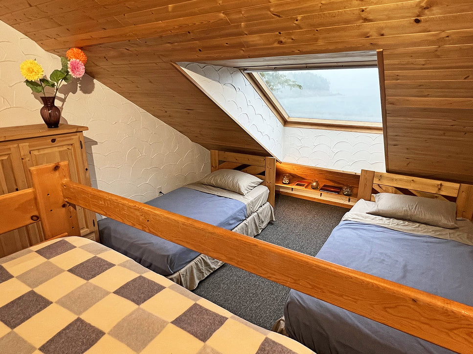 bunk beds and single beds in the sea lions room at malei island resort