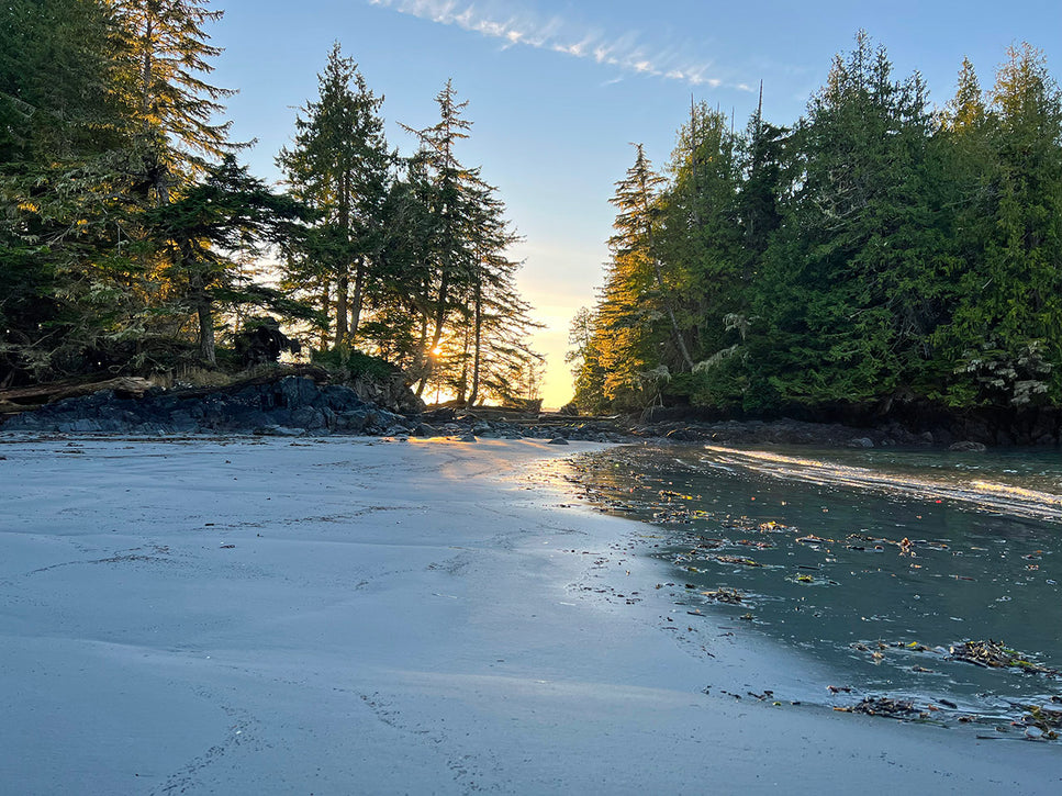 secluded beach on vancouvers west coast